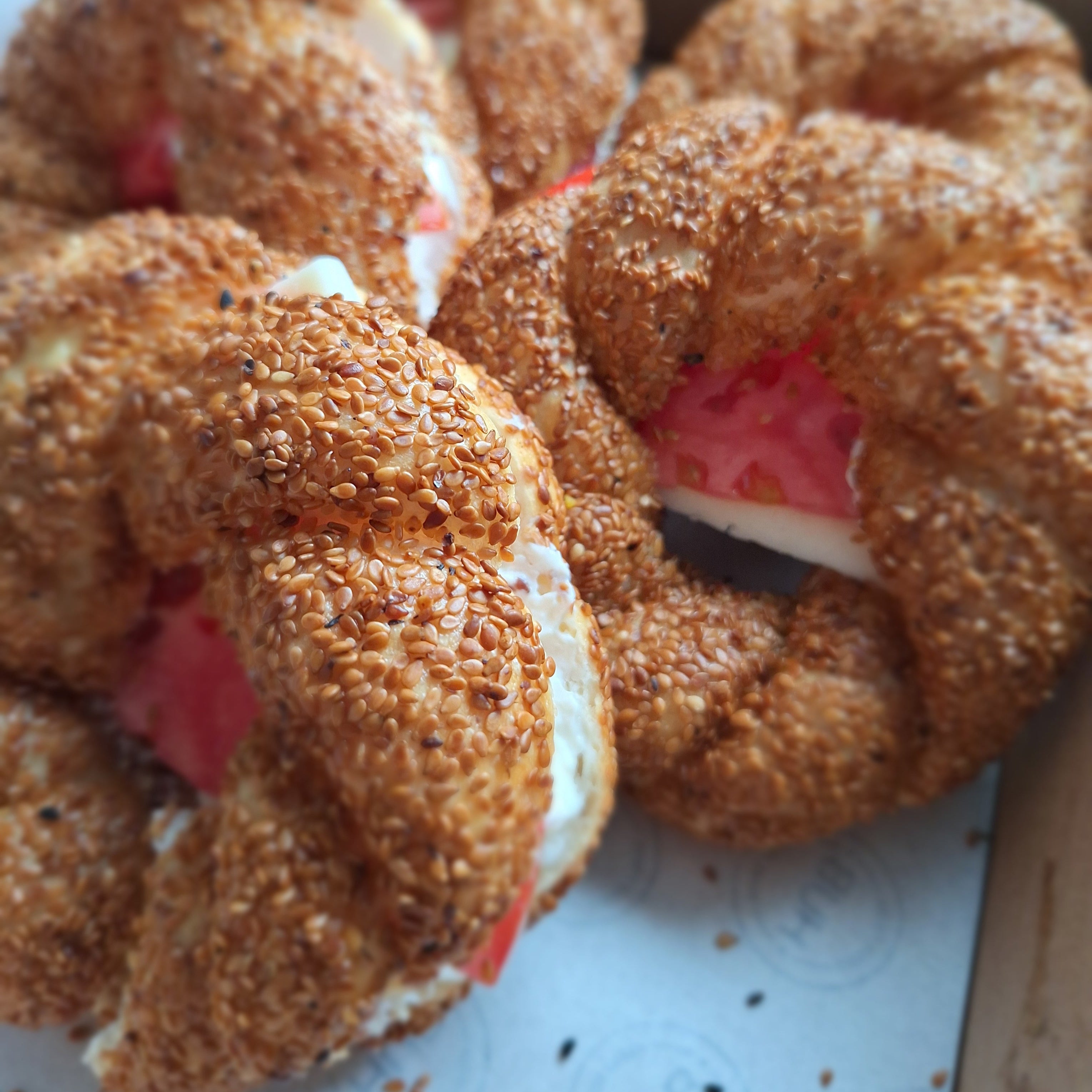 HUB Mini Simit Sandviç Box