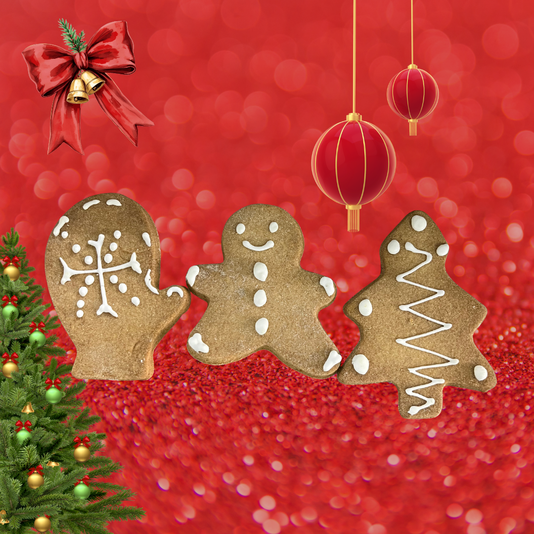 Gingerbread Kurabiye (20gr)